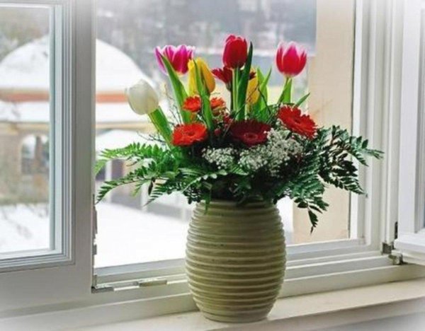 цветок на подоконнике