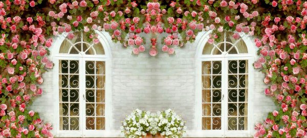 цветочные фоны