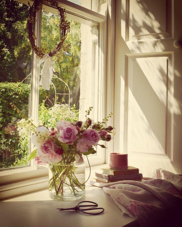 цветы у окна