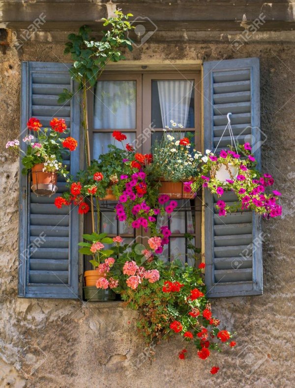 window flower boxes