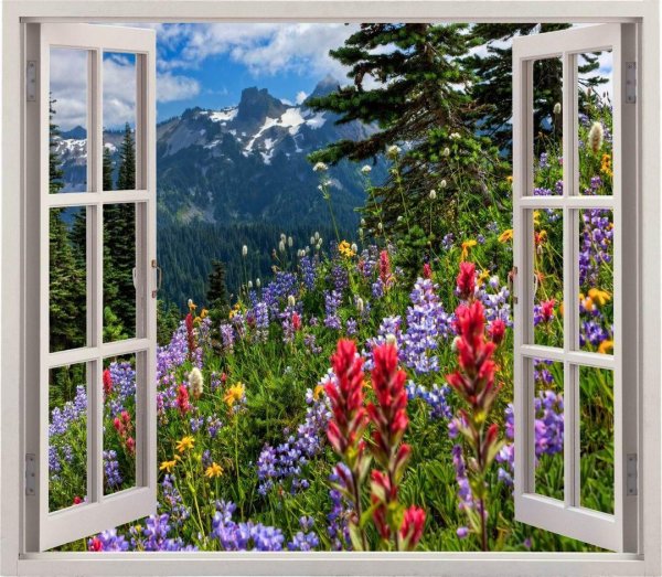 цветочный пейзаж