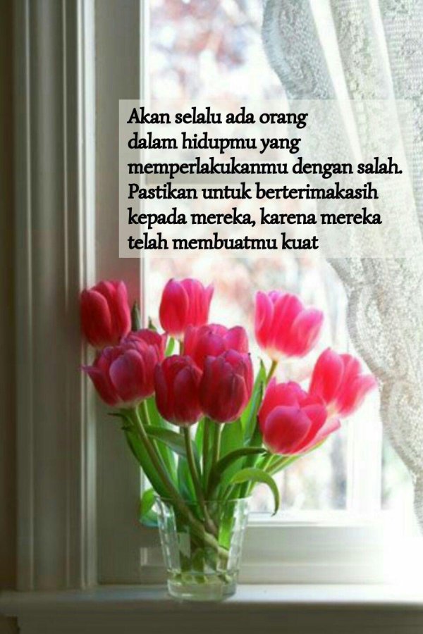 тюльпаны на подоконнике