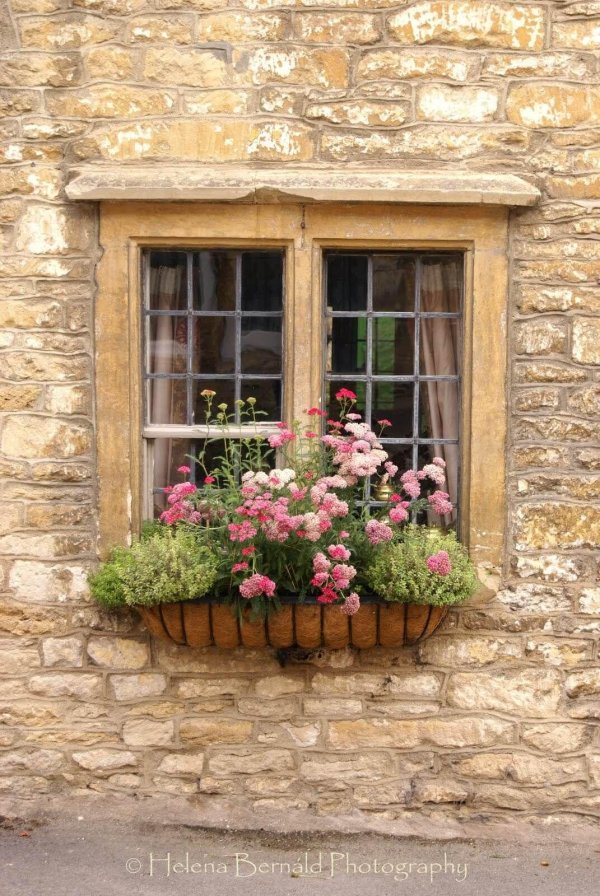 window box idea