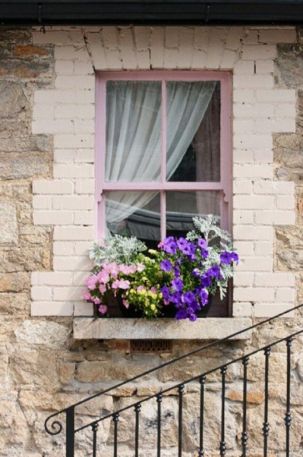 window box idea
