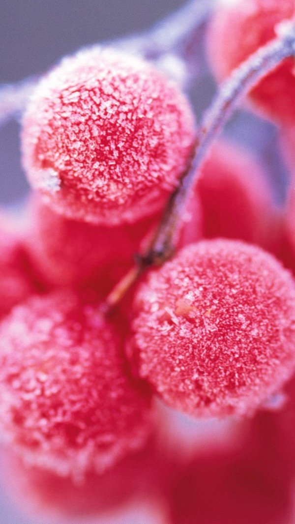 Розовая зима