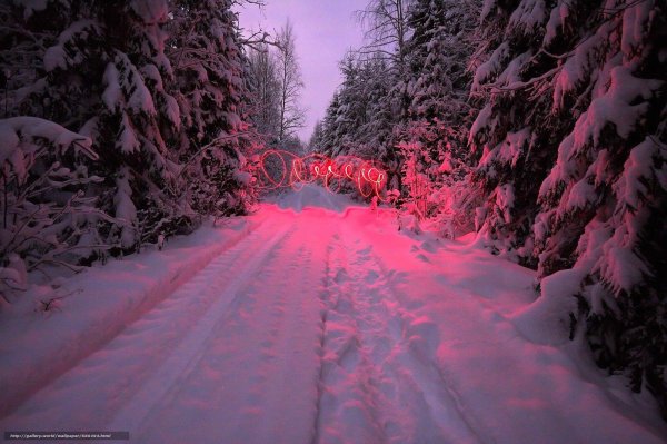 Розовая зима