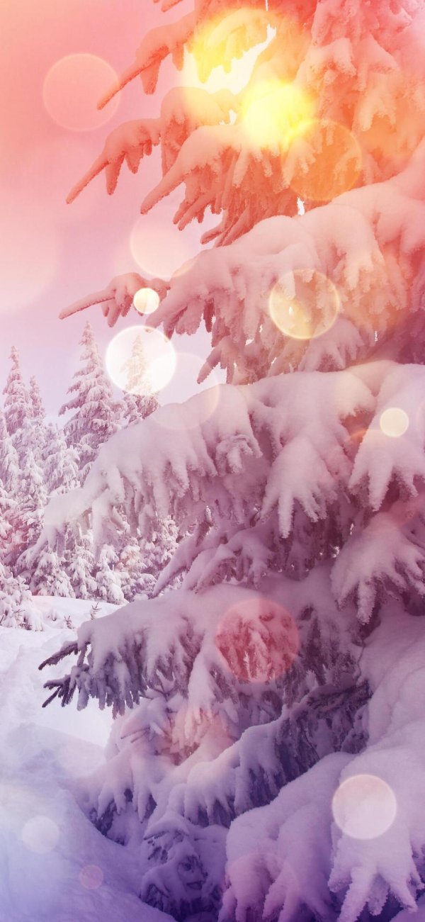 Розовая зима