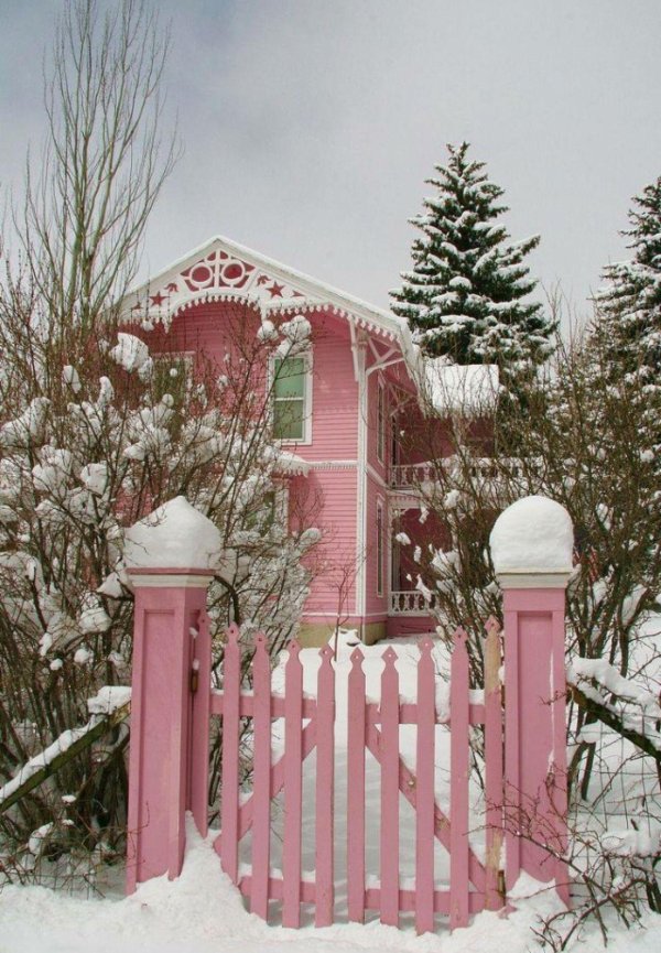 Розовая зима