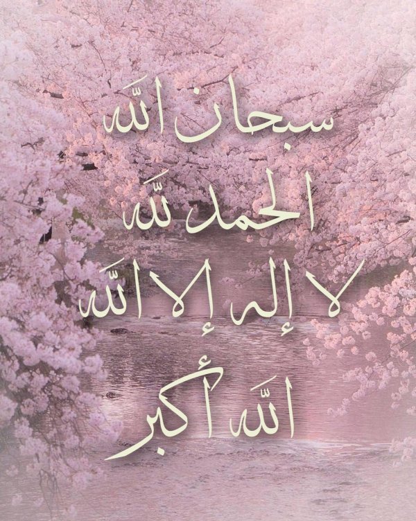 Розовая зима