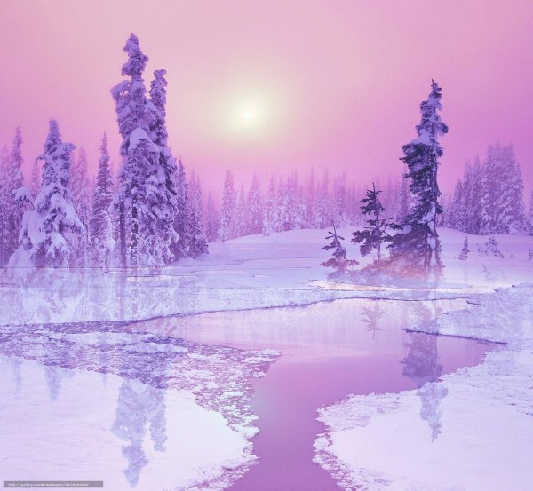 Розовая зима