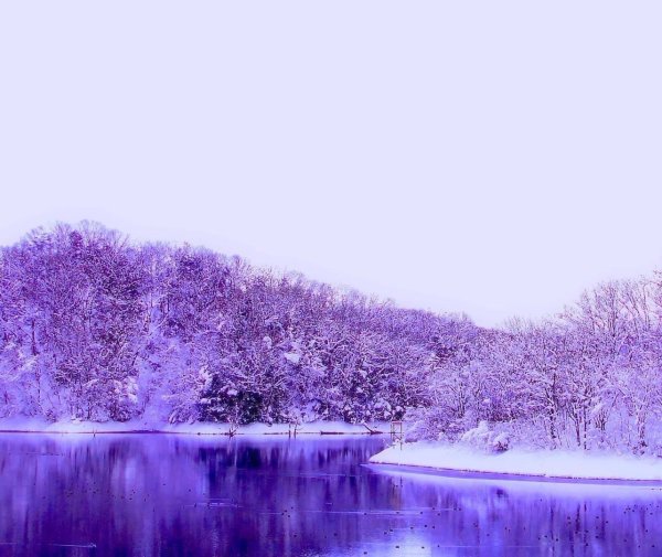 Розовая зима