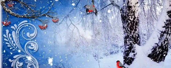 Зима музыка