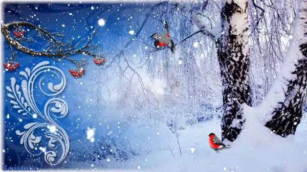 Зима музыка