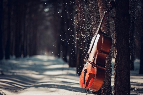 Зима музыка