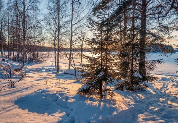 Зима карелия