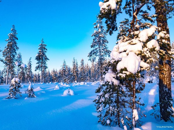 Зима карелия