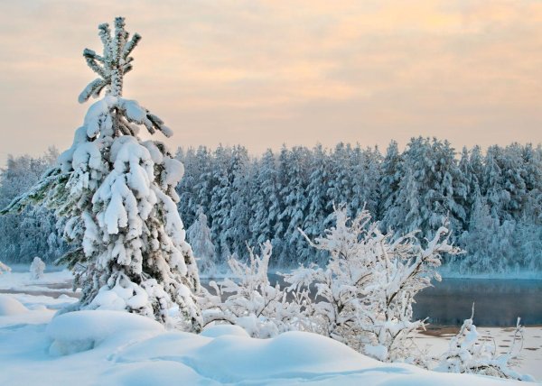 Зима карелия