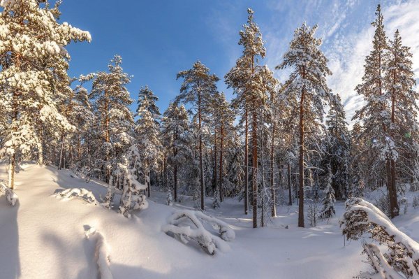 Зима карелия