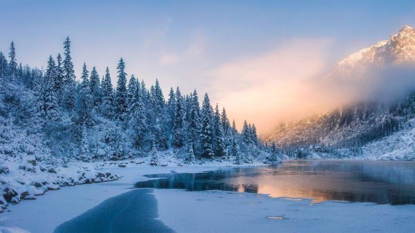 Релакс зима