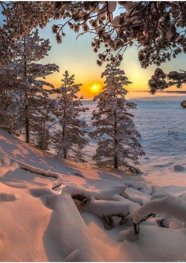 Релакс зима