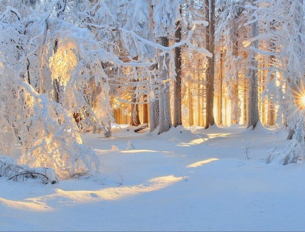 Релакс зима