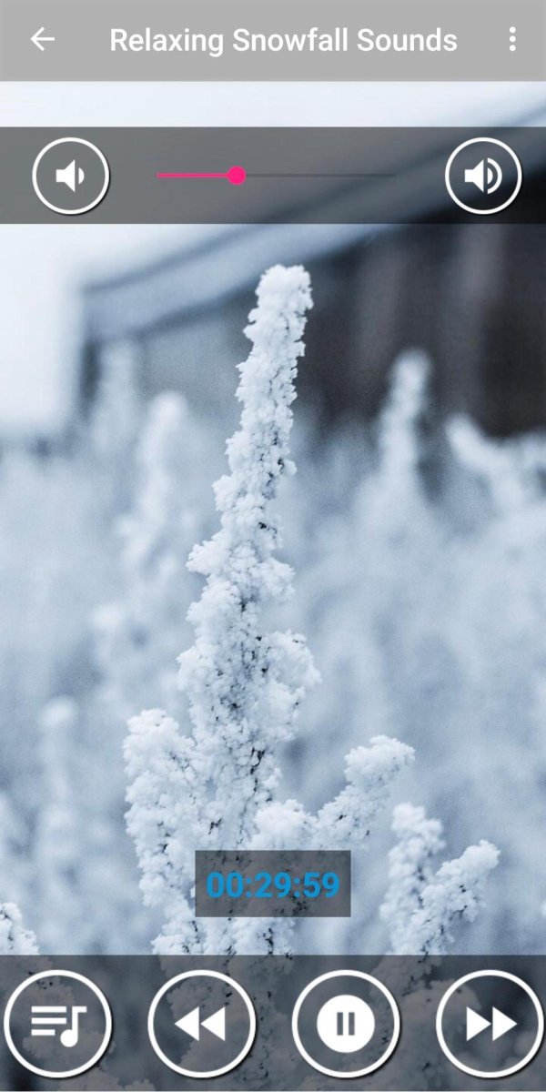 Релакс зима