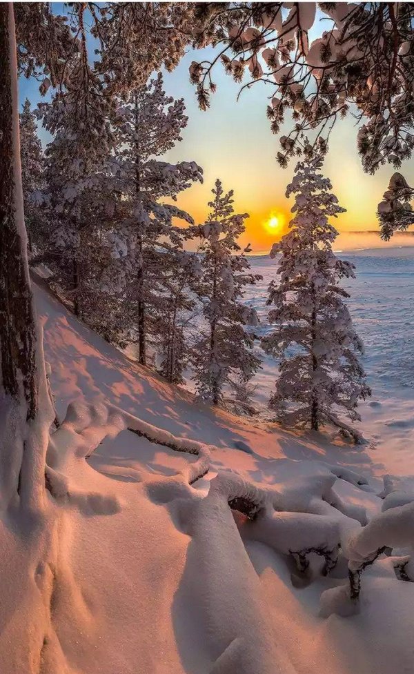 Релакс зима