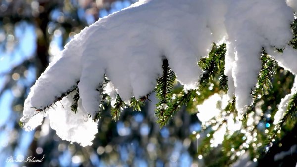 Релакс зима