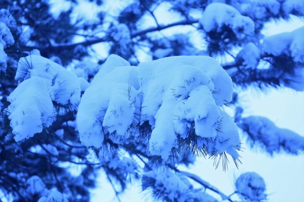 Зима холода