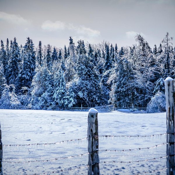 Зима холода