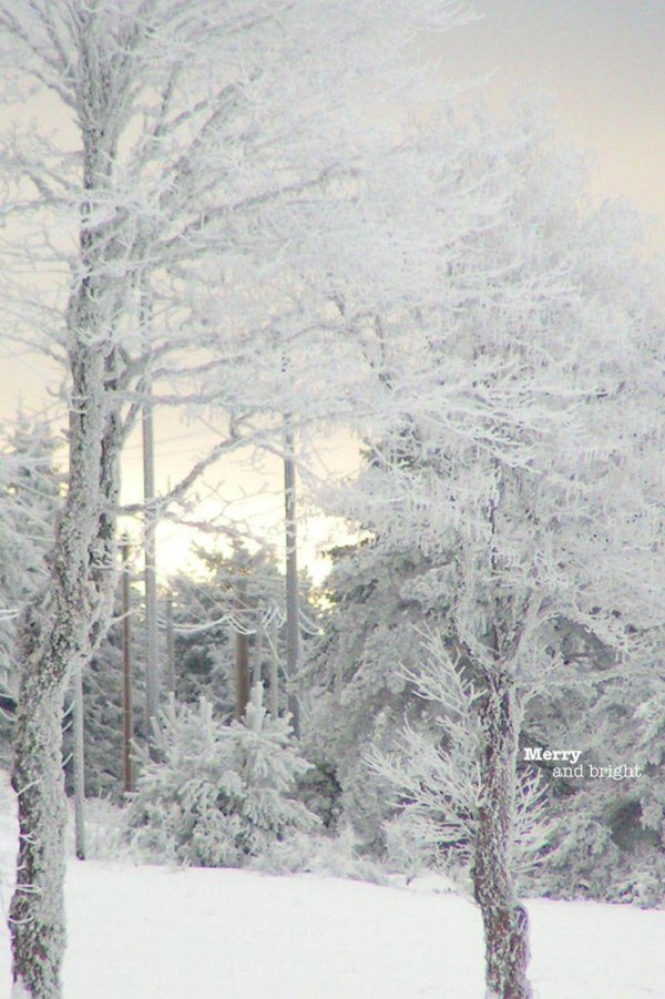 Зима холода