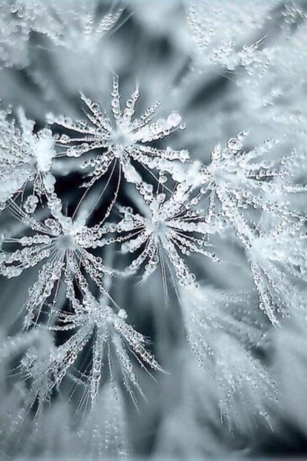 Зима холода