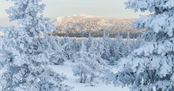 Зима холода