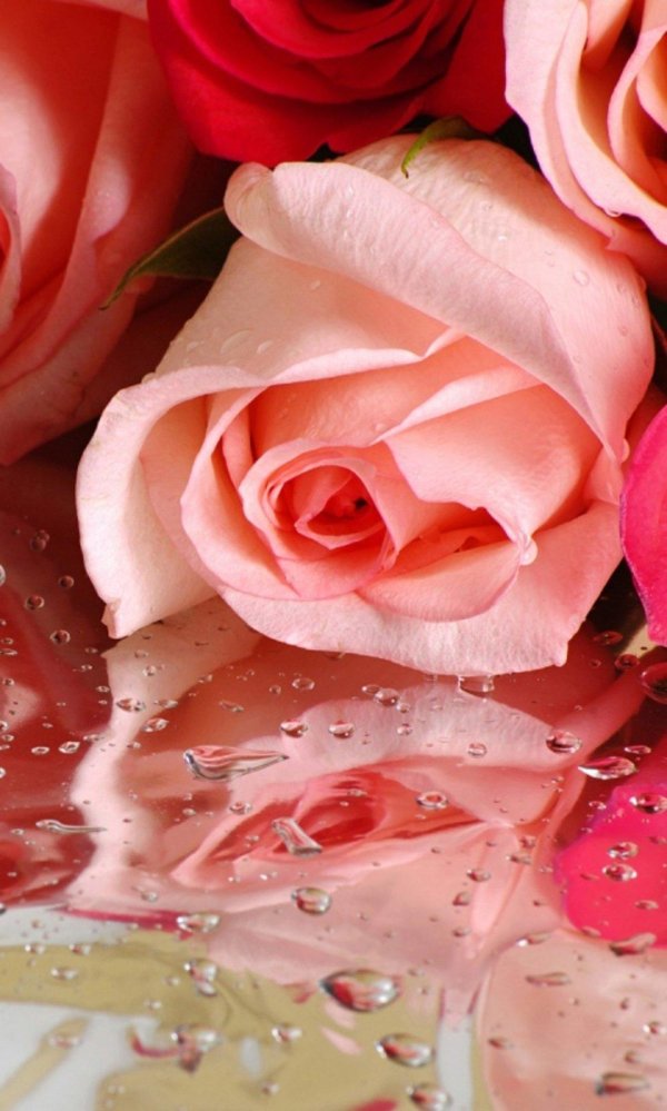 открытки и поздравления