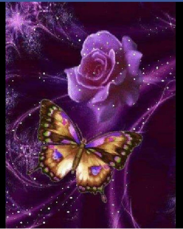 сверкающие бабочки