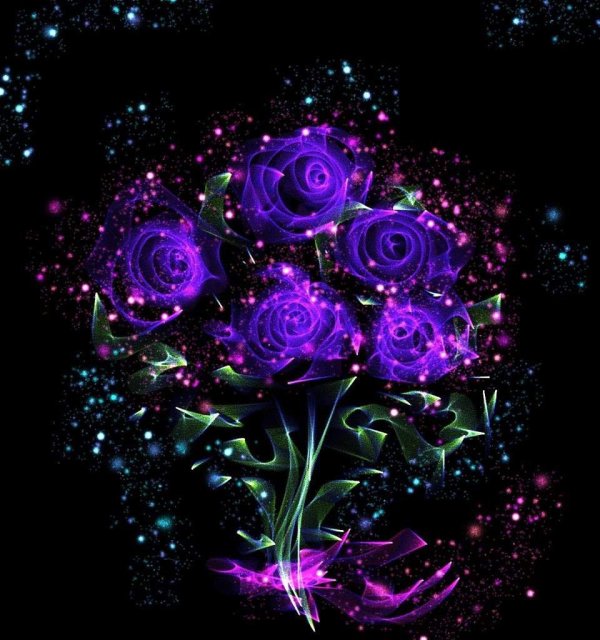 фиолетовые живые цветы