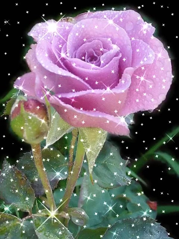 анимационные цветы