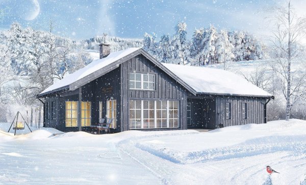 Дом и зима