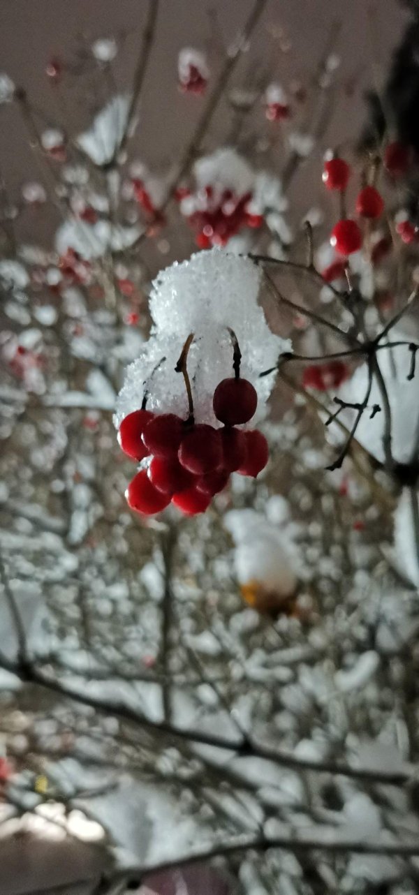 Завтра будет зима