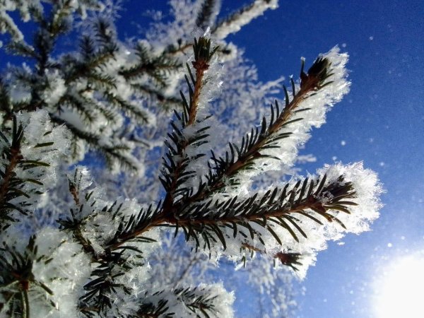 Завтра будет зима