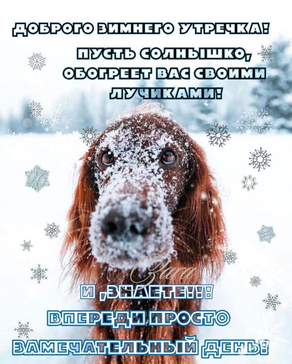 Завтра будет зима