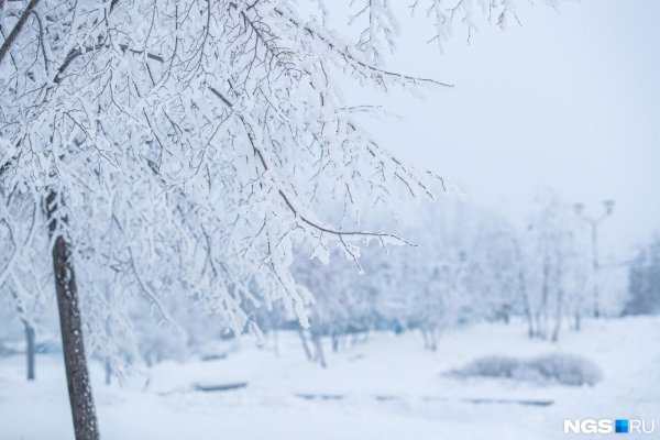 Завтра будет зима