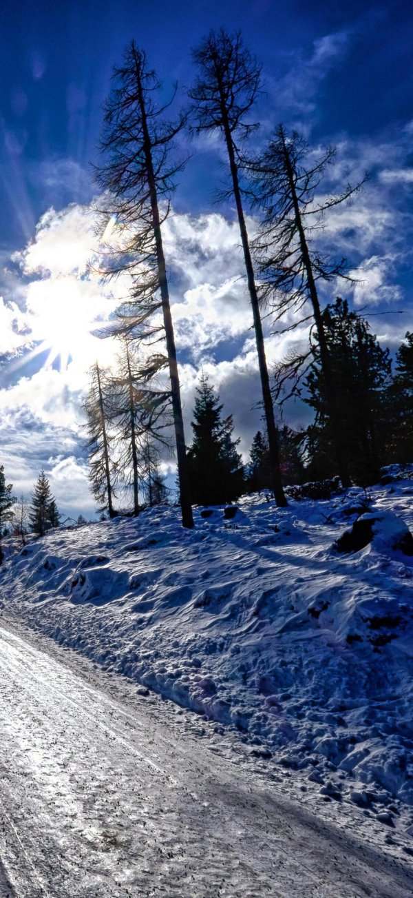 Дорога и зима