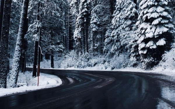 Дорога и зима