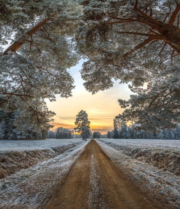 Дорога и зима