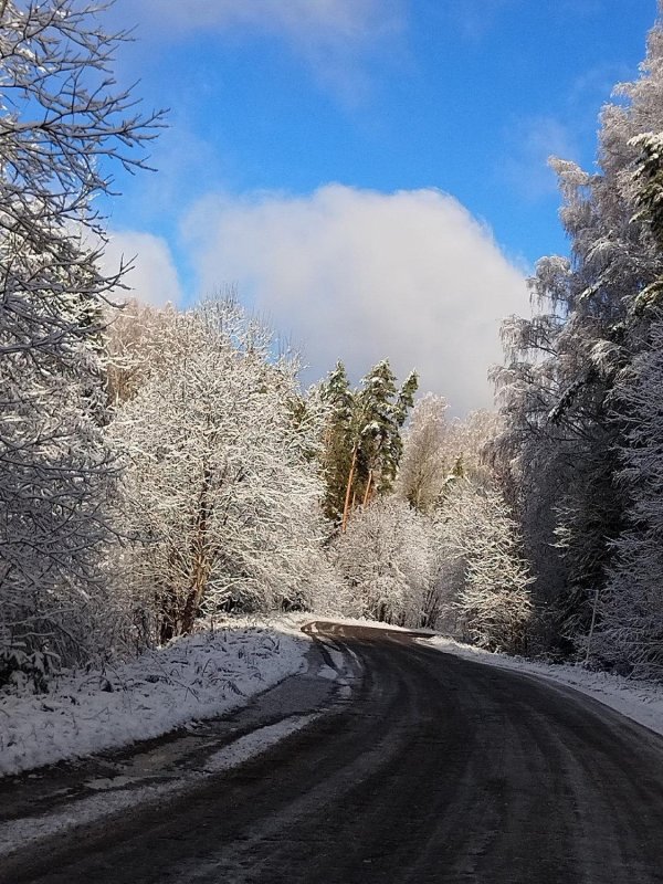 Дорога и зима