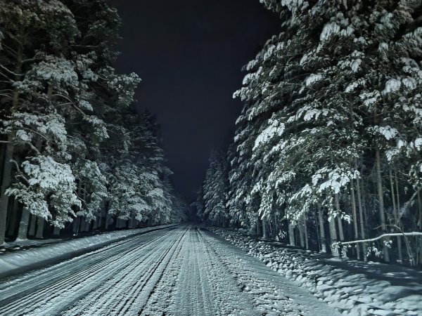 Дорога и зима