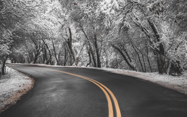 Дорога и зима