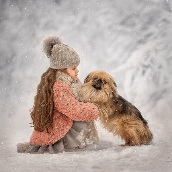 Зима и собаки