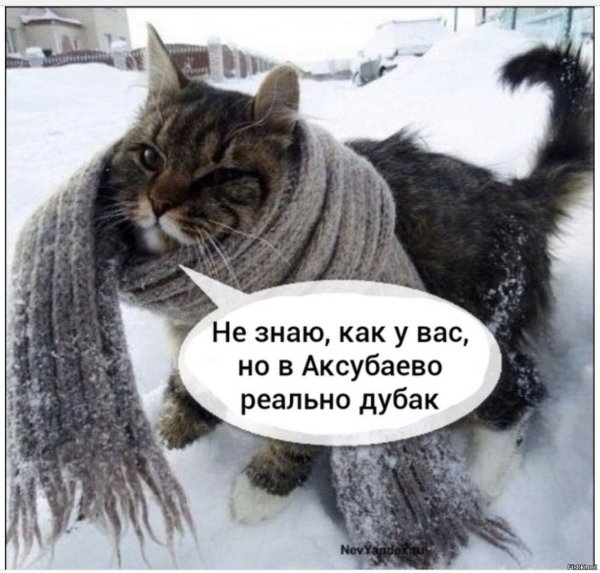 Зима с юмором